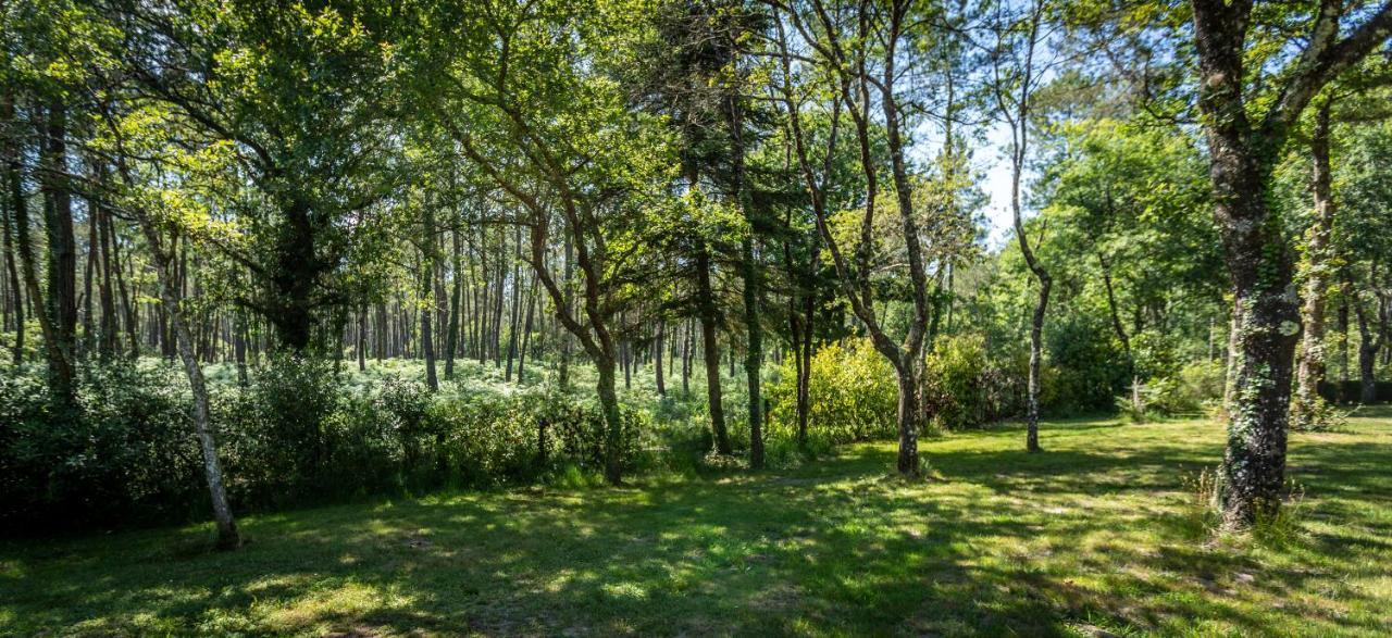 Camping L'Etang D'Ardy *** Saint-Paul-les-Dax Exterior photo